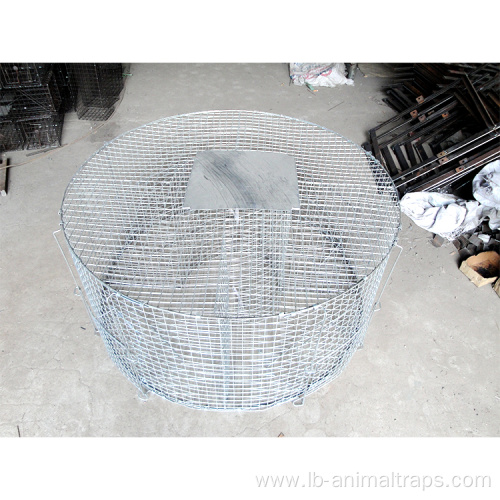 Large Collapsible Humane Live Animal Trap